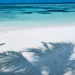 Avatar for user "sophia18"