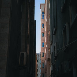 Avatar for user "noir"