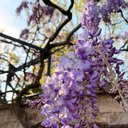 Avatar for user "kate"